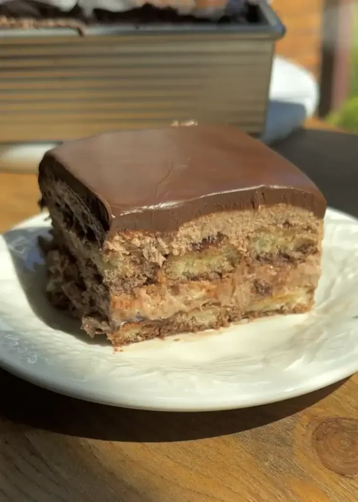 No Bake Nutella Tiramisu Recipe